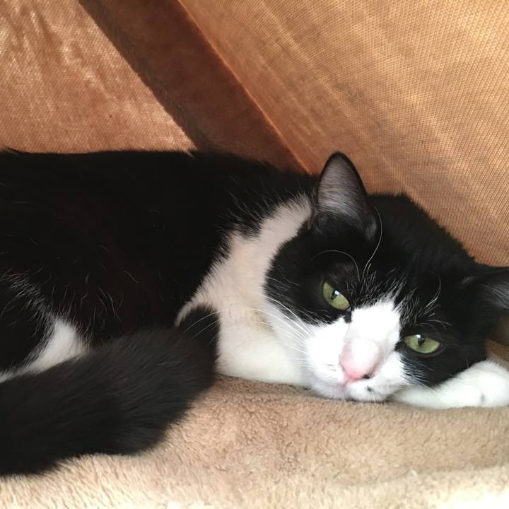 9e9e9569 873c 47a2 88c1 9a4670de9e5a