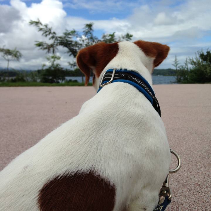 9e9ebcb9 1049 41e3 960b a22ab9347194