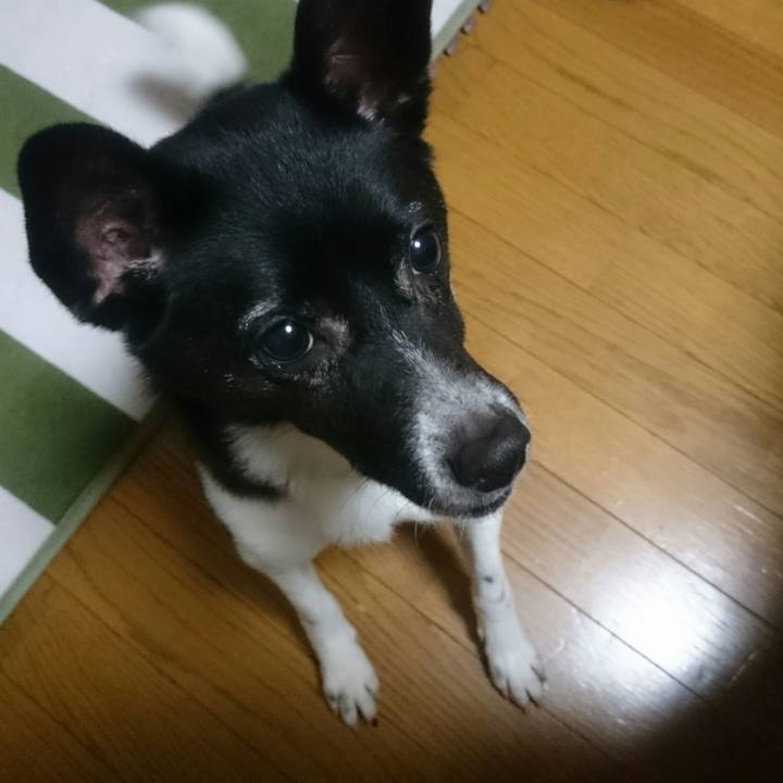 9e9ec724 eaa9 4a30 92f6 7d872ef95459