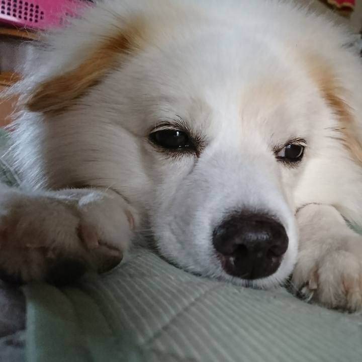 9e9ed4f4 9e9e 4824 b4a5 ec2aa173baa3