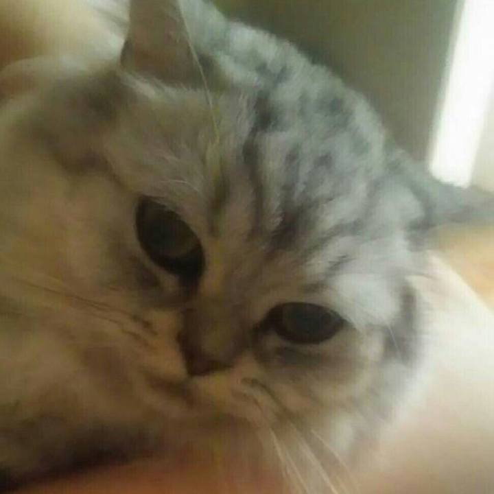 9e9f26ca 4b1a 4b9f 9e18 002e93784f08