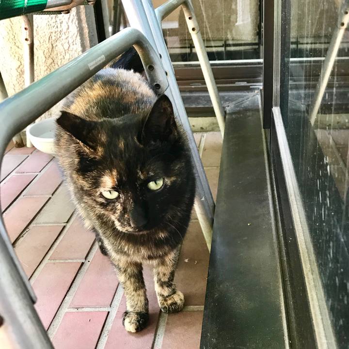 9e9f4beb 9b90 4297 82fc 2dc692fe3ed6