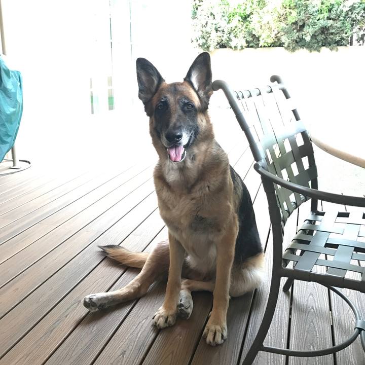 9ea09a67 b545 41f9 a418 92994d3859d5