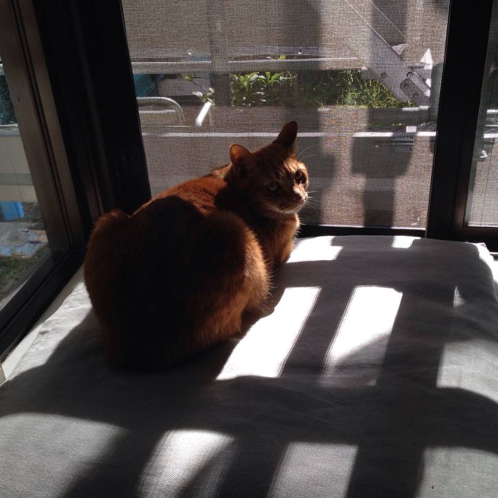 9ea12ea7 43e6 4edf bcb5 9d7890e265a6