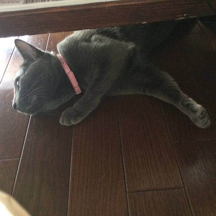 9ea18f40 1f88 43b8 9bc1 8805d07e07cf