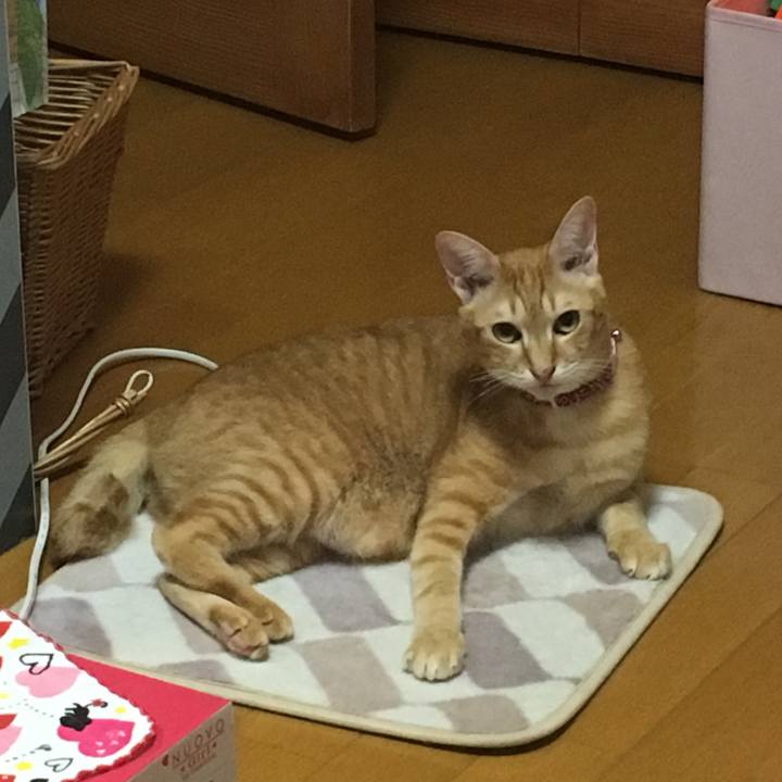 9ea2323c 05a2 4cfc 8f71 b81b1aabc79d