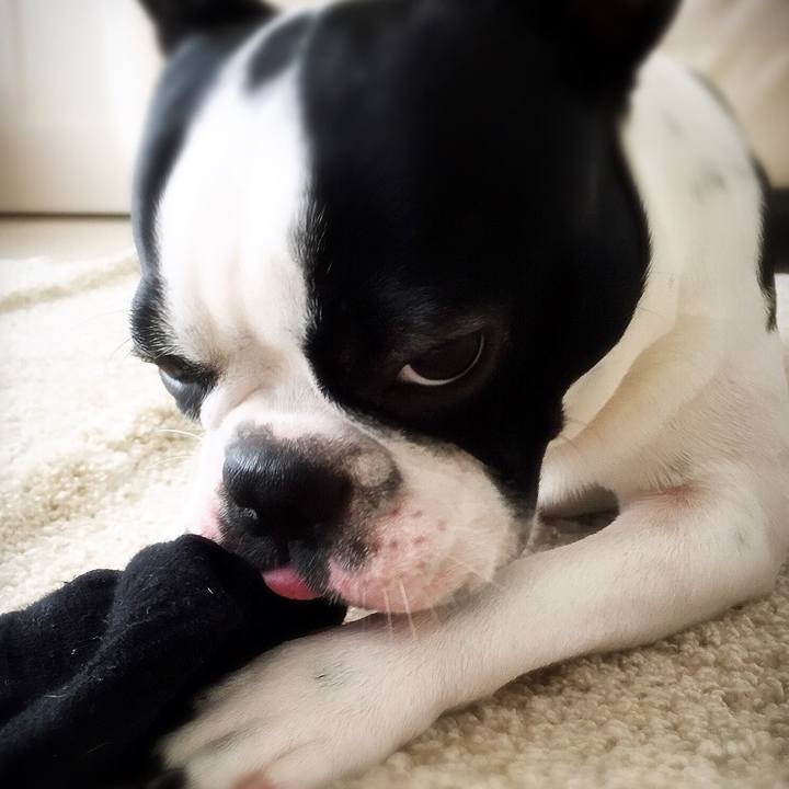 9ea2352f b043 4cd7 945f f8647de3e268