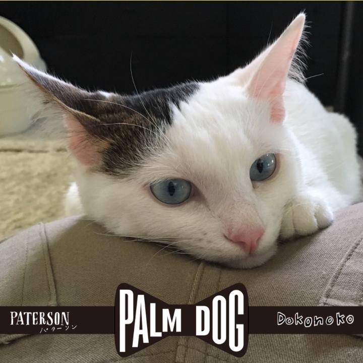 9ea3149e 2e45 48d3 91ae fc9afb3d788b