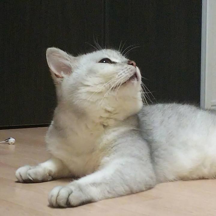 9ea35716 63ef 466f b259 0b2e93534abc