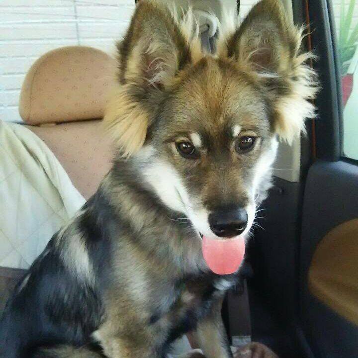 9ea377b9 433b 4a3f 90fa 89d06b7ee338