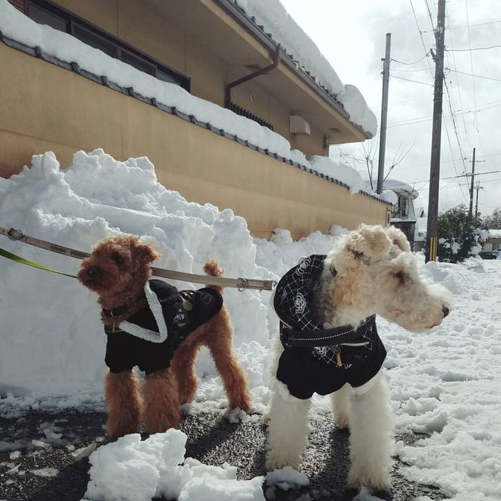 9ea37ff9 6710 4274 816b 640dc07a0a11