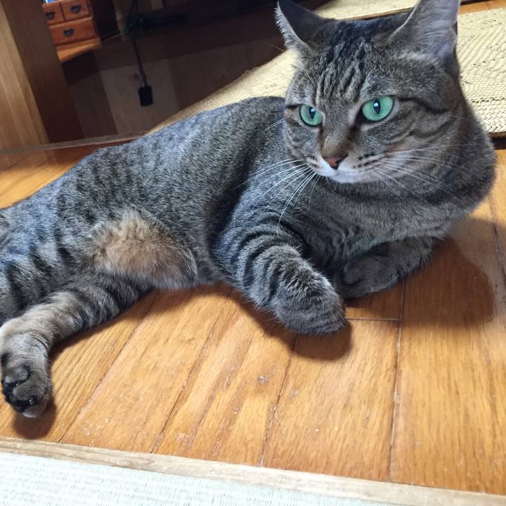 9ea380d3 842d 4454 a608 7fc105fb01fe