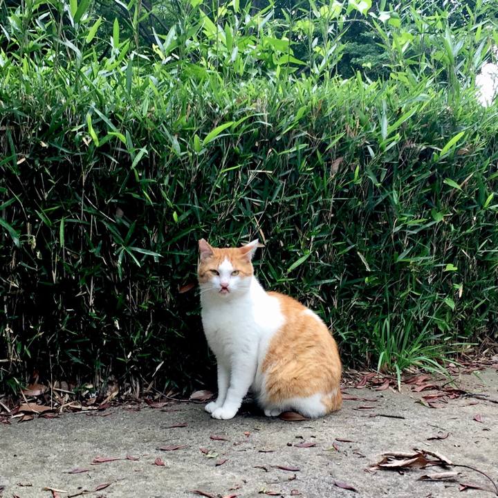 9ea38dac 47ea 431e b356 2987177061c5