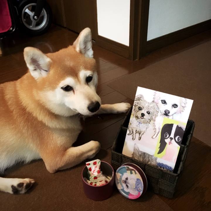 9ea3dee8 3c26 429e 953f 19a5295729fc