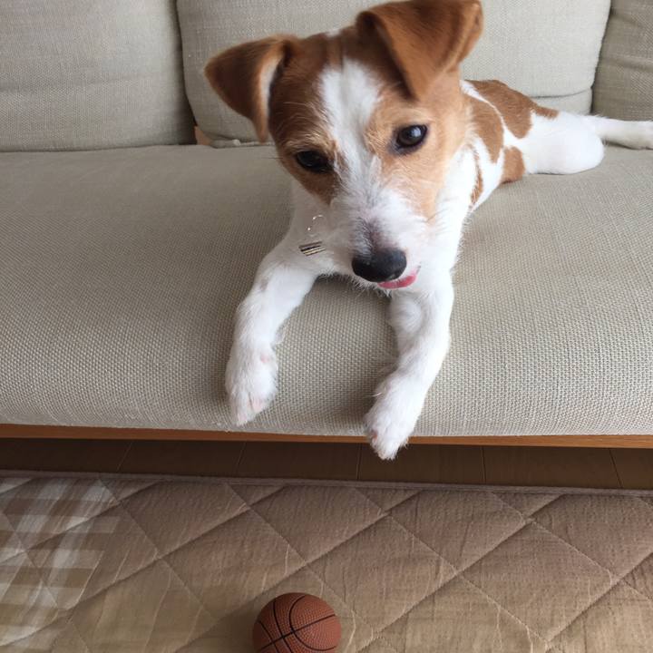 9ea47b1a db93 4d05 8997 bdfe985b479a