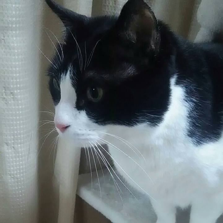 9ea5ebb2 475e 4b24 90fc be140757fc24