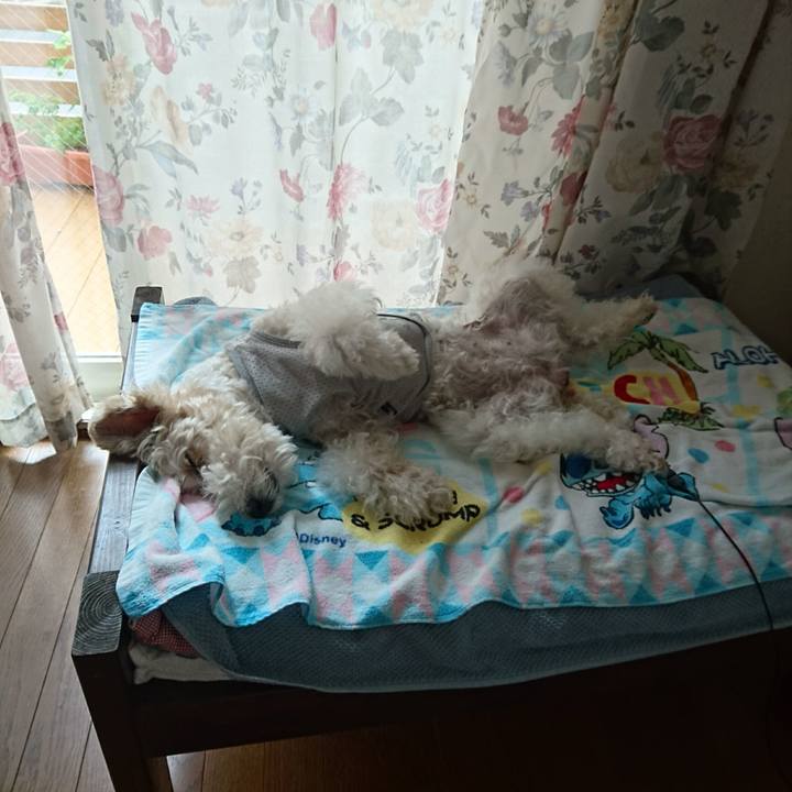 9ea611a1 c591 4e89 83ca 272f2334bca1