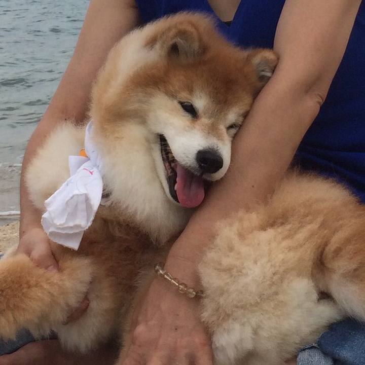 9ea6b923 9587 48ec 9453 b3fd2f9c1177