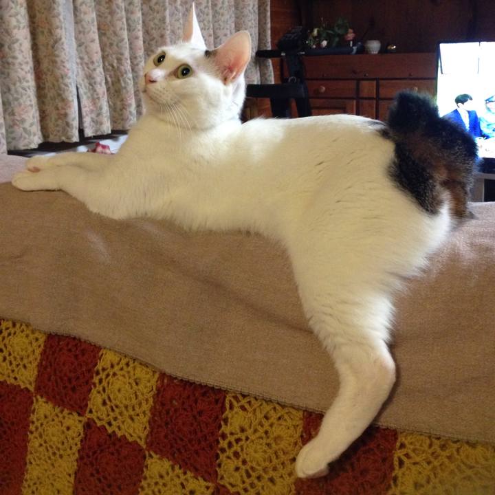 9ea7b6e1 73ce 413d 8dca 3a0866f63929