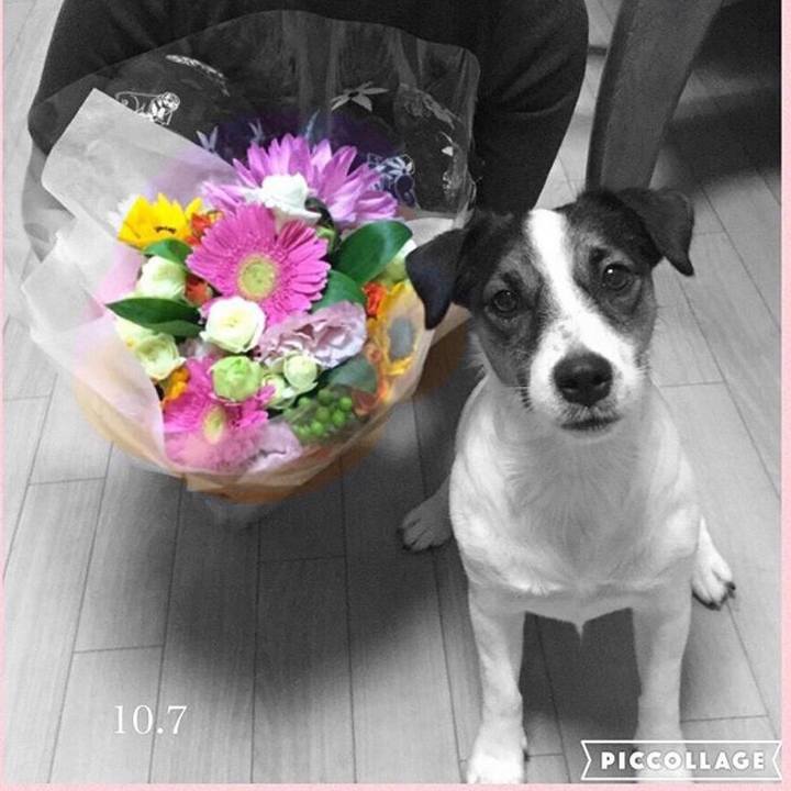 9ea7d7ef f281 46da a212 30f61067d177