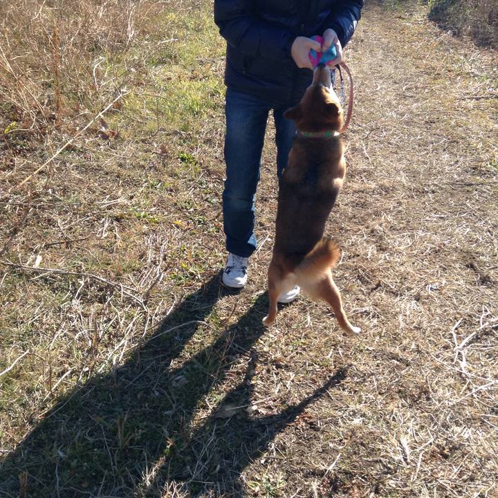 9ea85042 50e2 4127 98b2 7e45b2316818