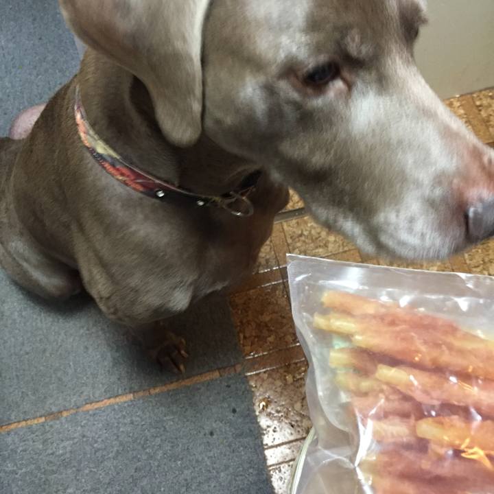 9ea8fa6d 2f4b 4260 8f9e 32e5e1eb95c4