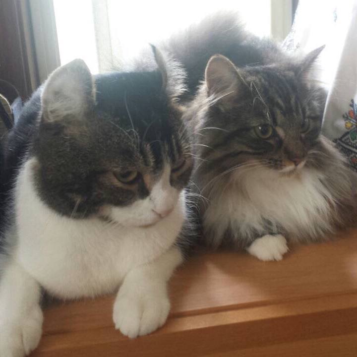 9ea901ef 1222 4237 92fb 257e5b7b096a