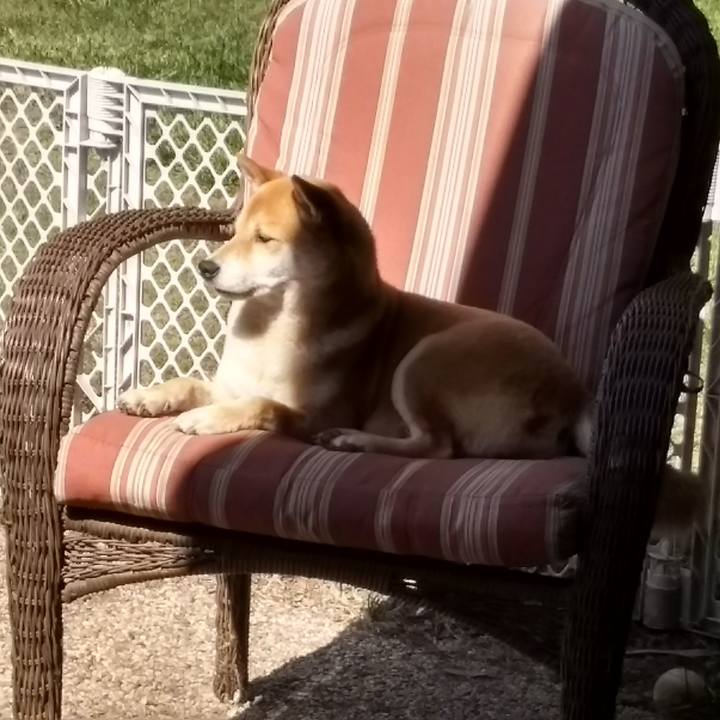 9ea92d1f c3ab 47c0 b69c f42617d3ba1d