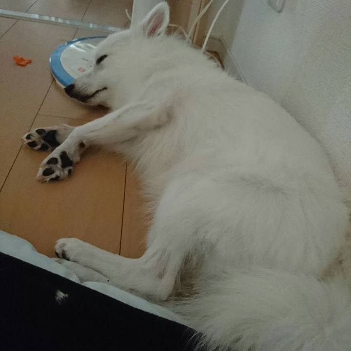 9ea94333 8d07 4d78 8155 b40321aeea02