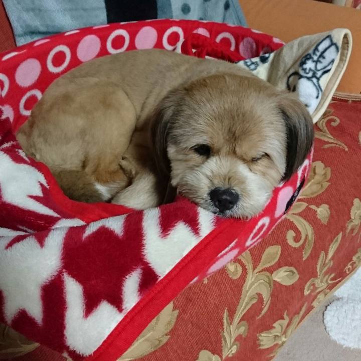 9ea9526c fb56 450f 9aca 2f74244d742f