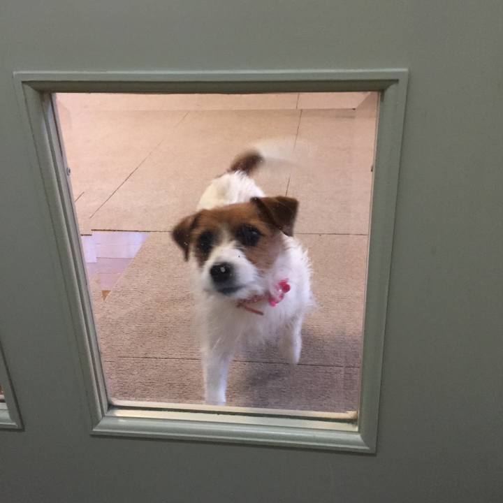 9ea9e330 58a6 41e0 8fe5 a7d5216f3e72