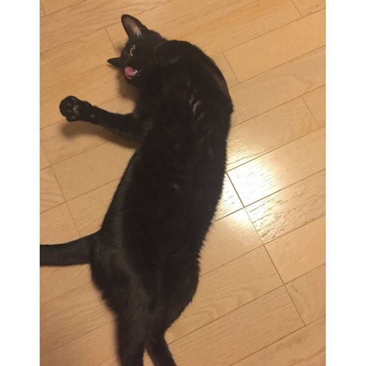 9eaaf96a faf7 4d92 9c77 527b88444f0d