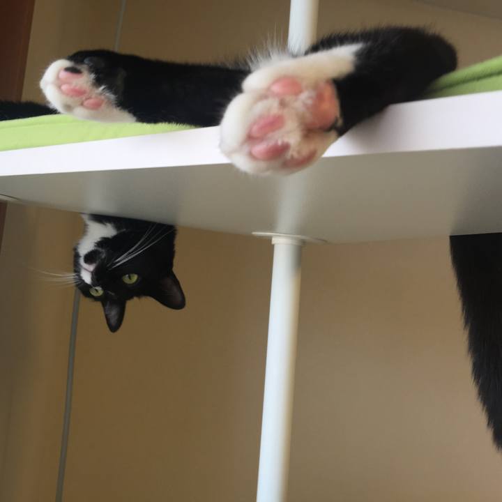 9eaafc66 0f4d 489d 8196 16373d280dcb