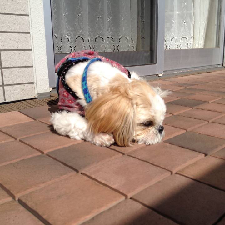 9eab3c1a 2b62 4f14 ba0a 5983f543f931