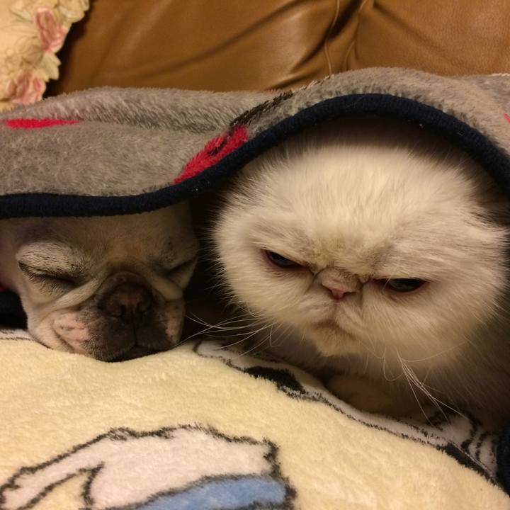 9eabbe44 2997 4e97 80de 4bc4e54f1c79