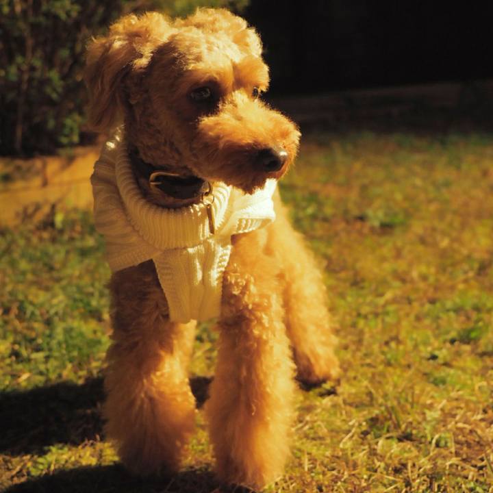 9eac1478 6c7b 4a52 be9f b23db16e44a3