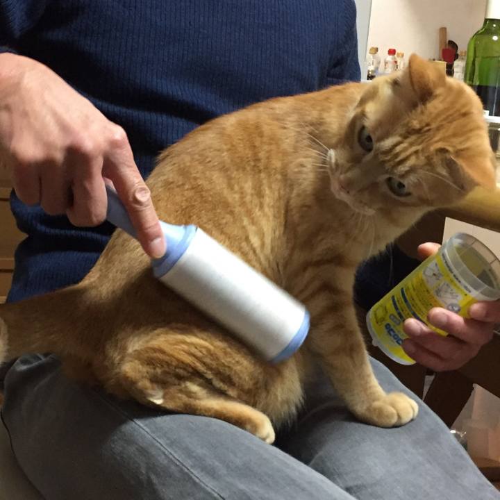 9eac49d9 71cf 4a53 9202 9db0fed680ed