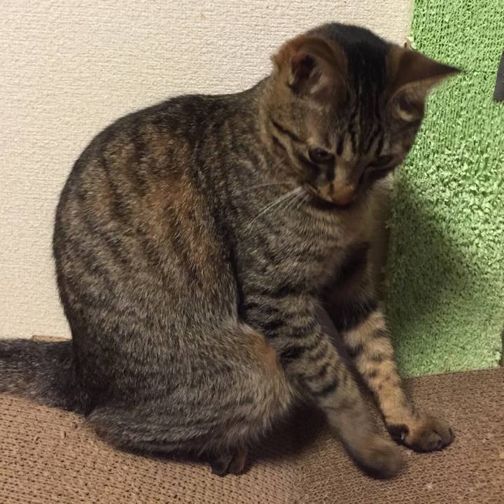 9eac589a f9a1 4162 9541 64296d26267c