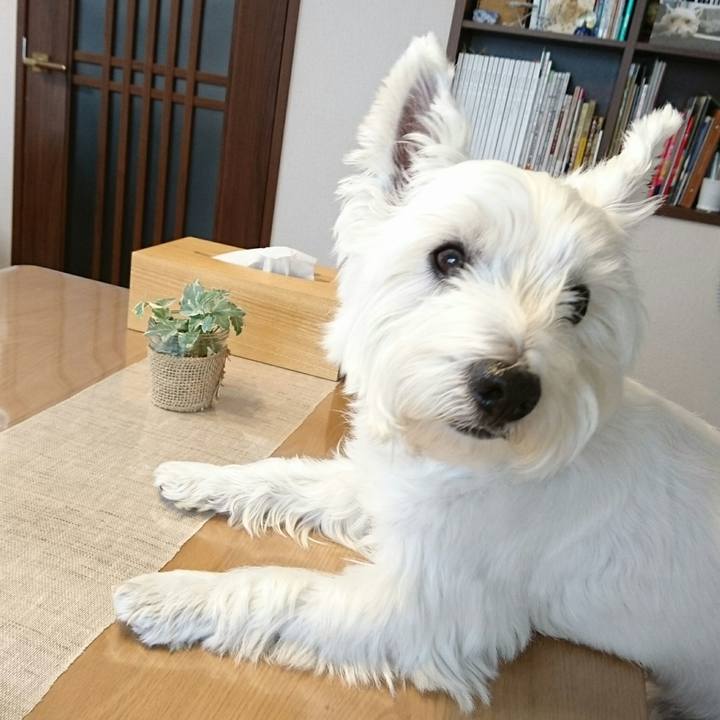 9ead904b 56fb 4a9e bac9 40f72f8e3f23