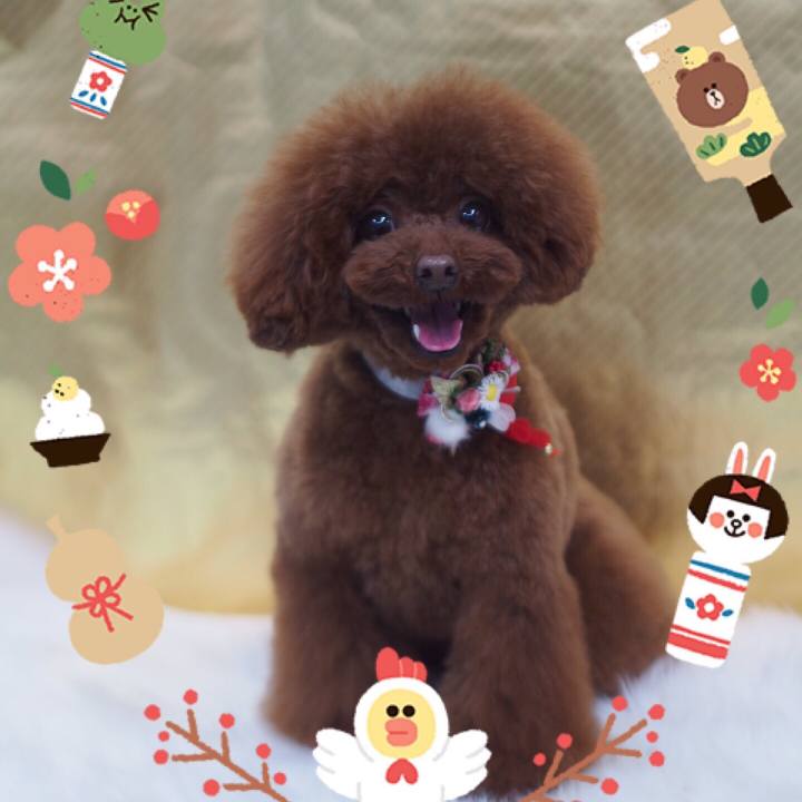 9eadaf4f f0a9 49e4 95df 285659a43eed