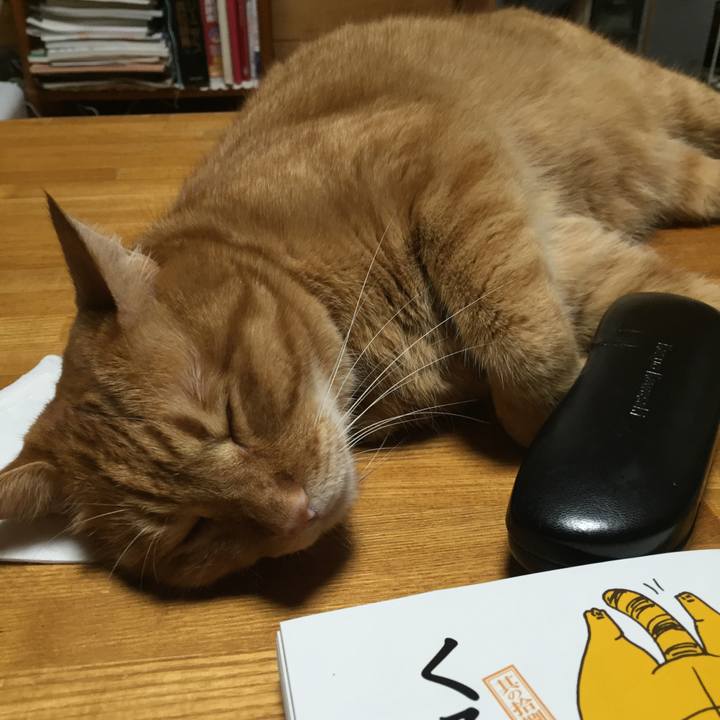 9eae7e35 508a 4f6e 8384 f4bd1a484627