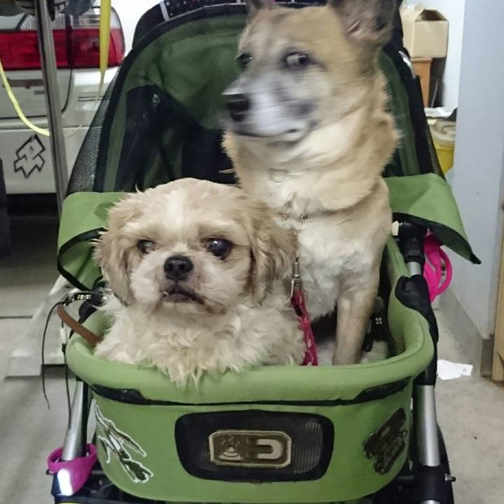 9eaf5316 ff48 4ec6 8903 8f771bca3775