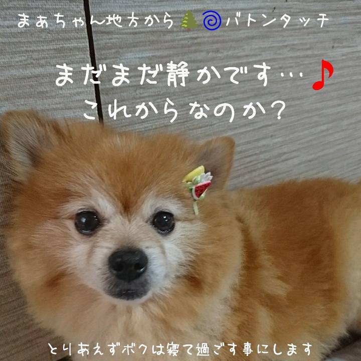 9eafef66 474f 4cf5 b760 4a7b0bbdbf81