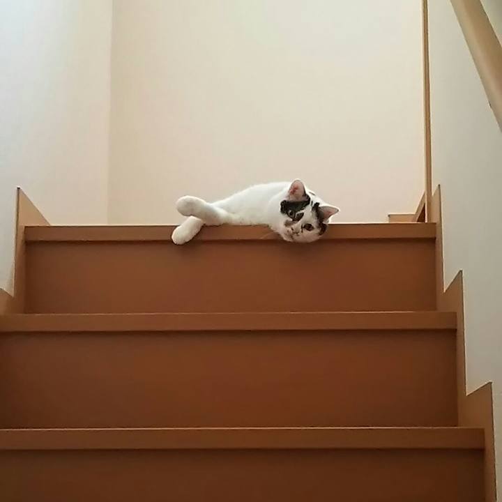 9eb0095a 78fc 4c2d b21f 790dccd2b9ee