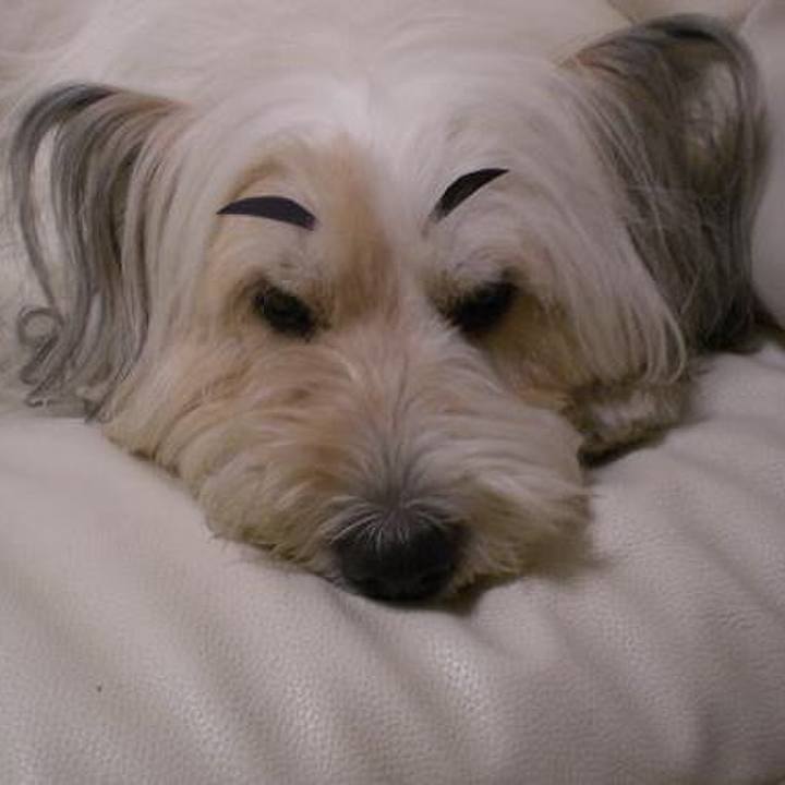 9eb212a8 43bf 453a acf6 479db4dc0ca9