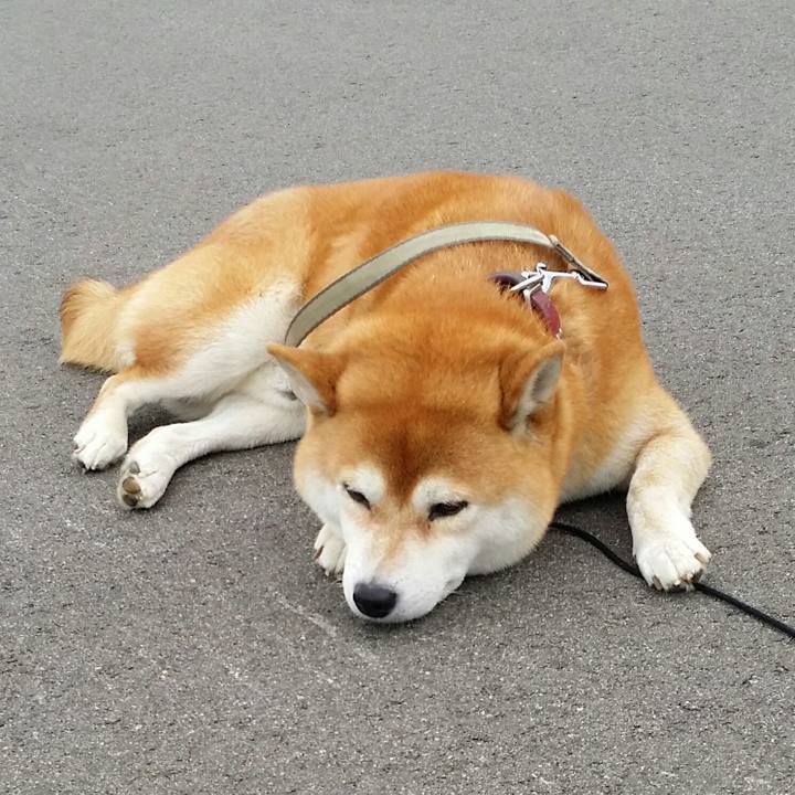 9eb267d0 eb2f 4406 93a6 8e5cfe7c6318