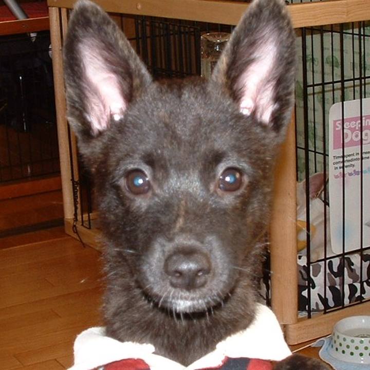 9eb26f7d 3066 4cf2 afad 8adf8ecf0885