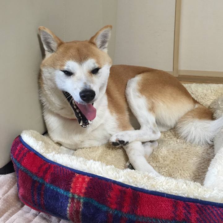 9eb2a5d2 33bb 4466 9cb2 0ed954657c9b