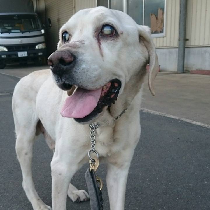 9eb2f6f7 ecef 43eb 8cfb cebffa6b931b