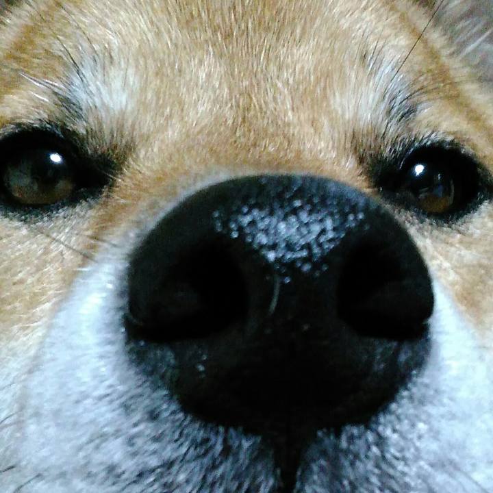 9eb2f94f f38f 4c0f 8bdd 54ffcf77dc00